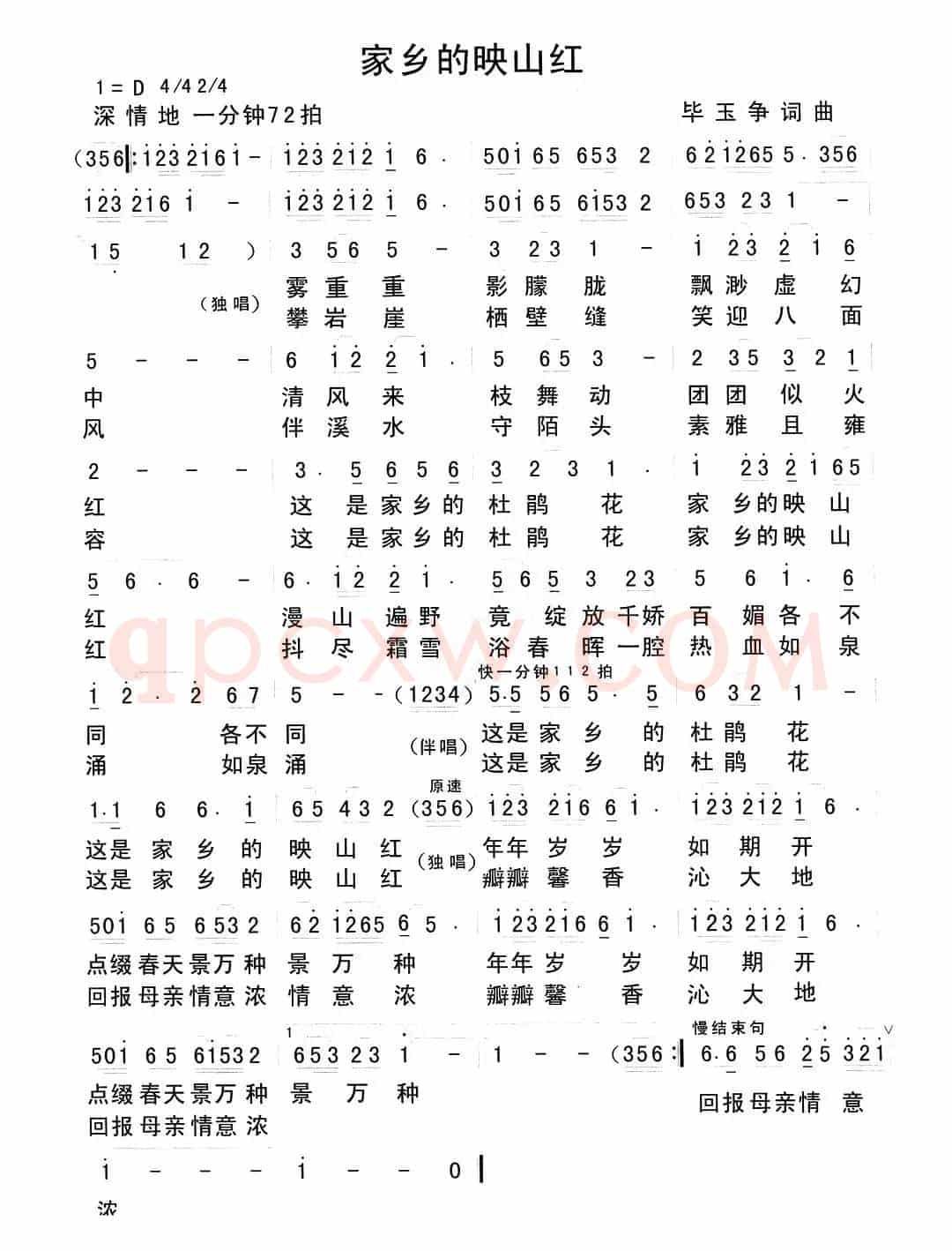 家乡的映山红