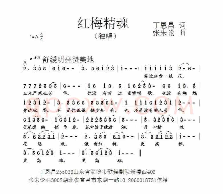 红梅精魂（丁恩昌词 张朱论曲）