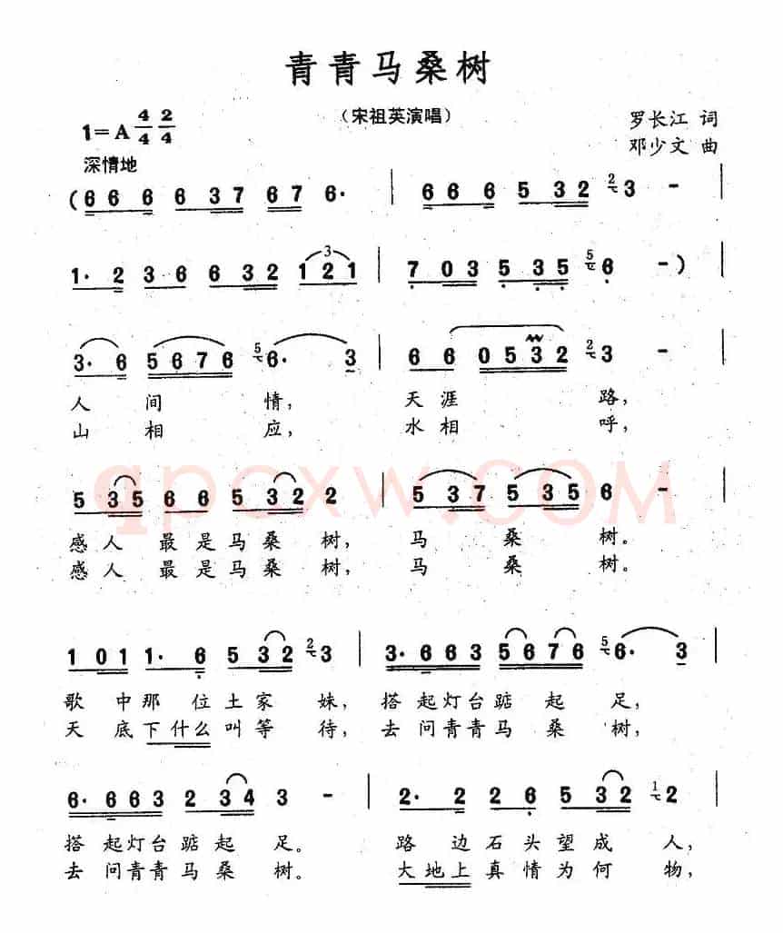 青青马桑树