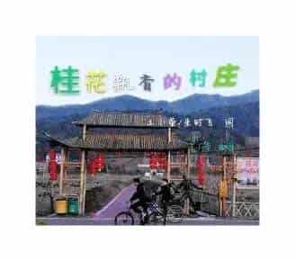 桂花飘香的村庄