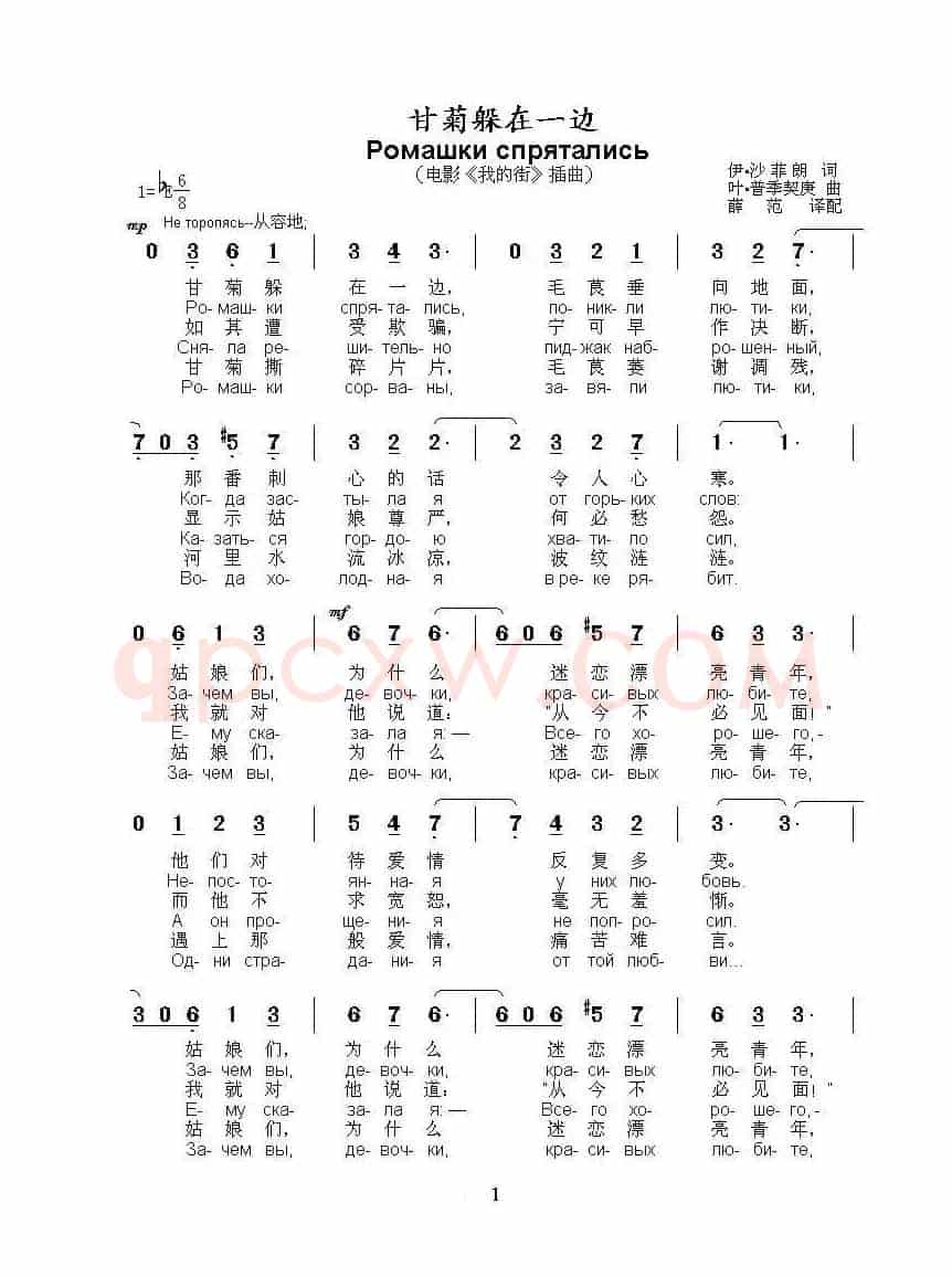 甘菊躲在一边Ромашки спрятались（中俄简谱）