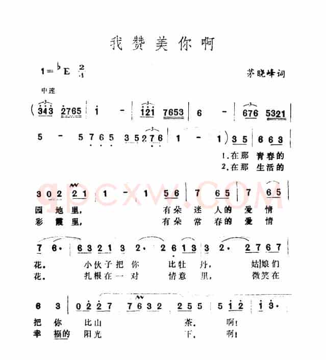 我赞美你啊