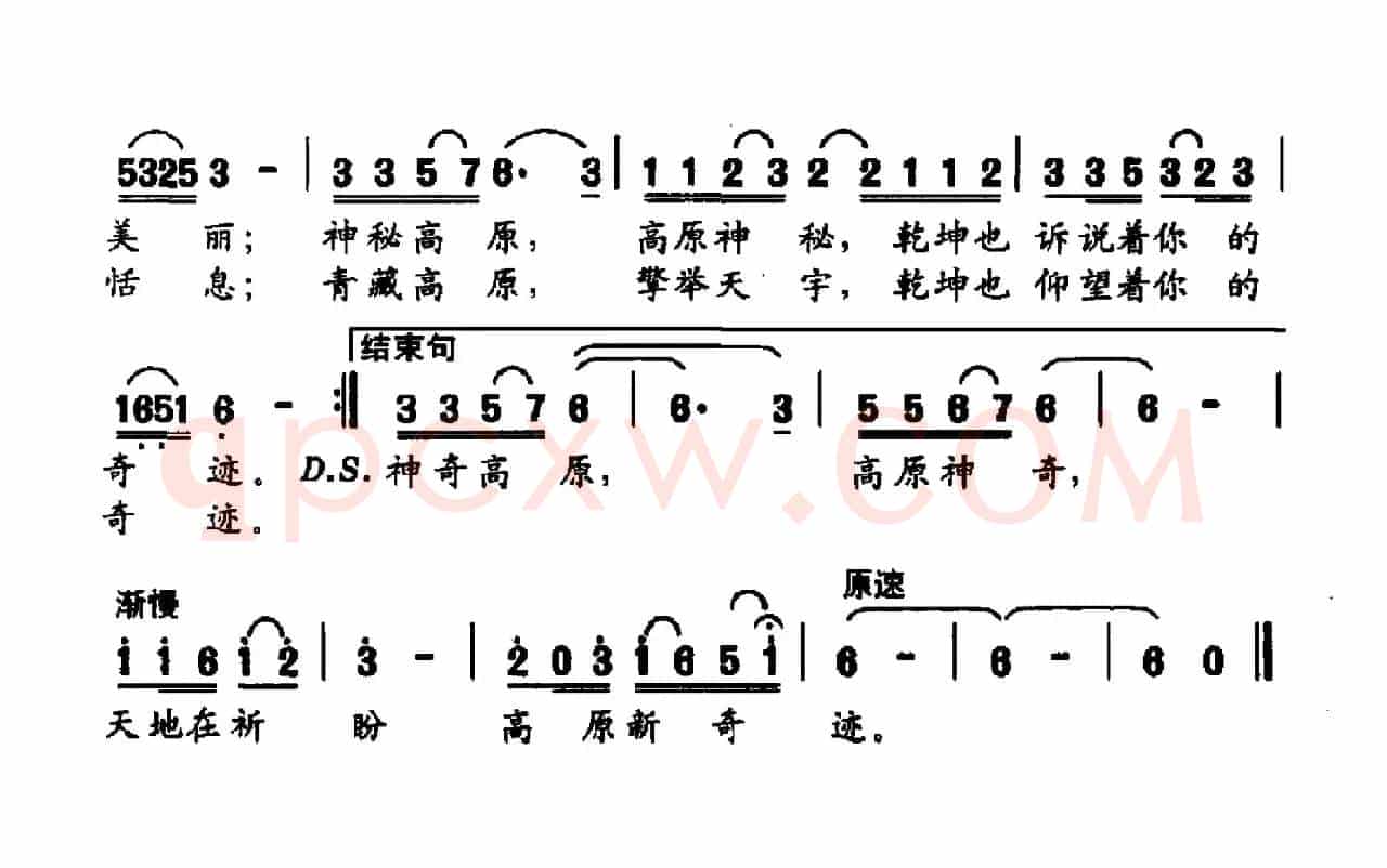 神奇的高原
