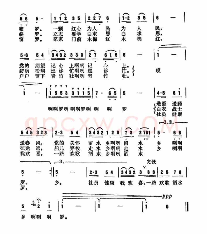我是水乡的医疗队员