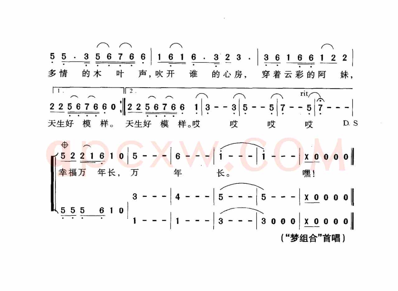 幸福山寨（向远词 符玮曲）