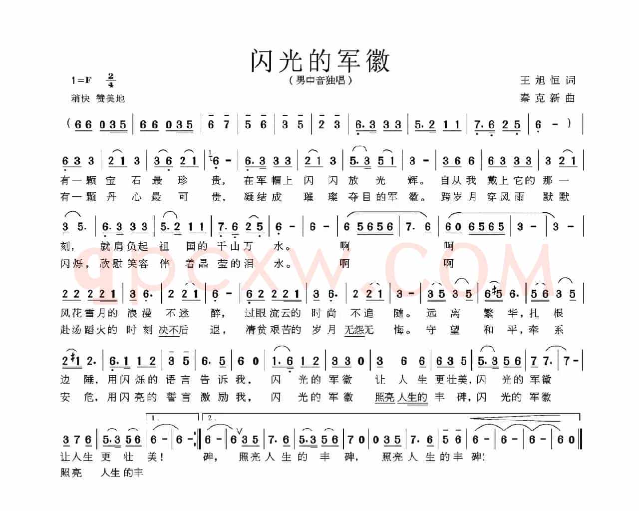 闪光的军徽