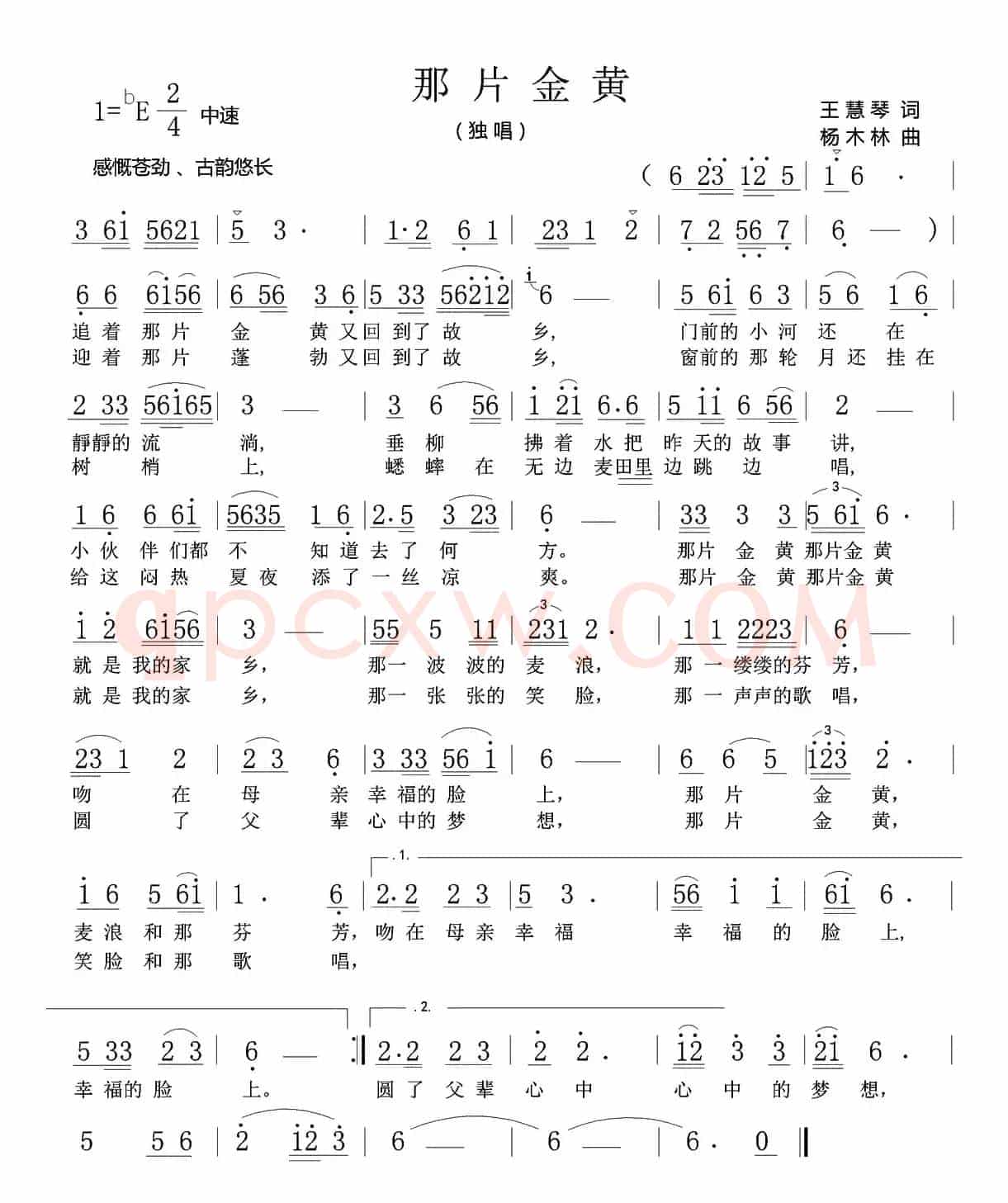 那片金黄