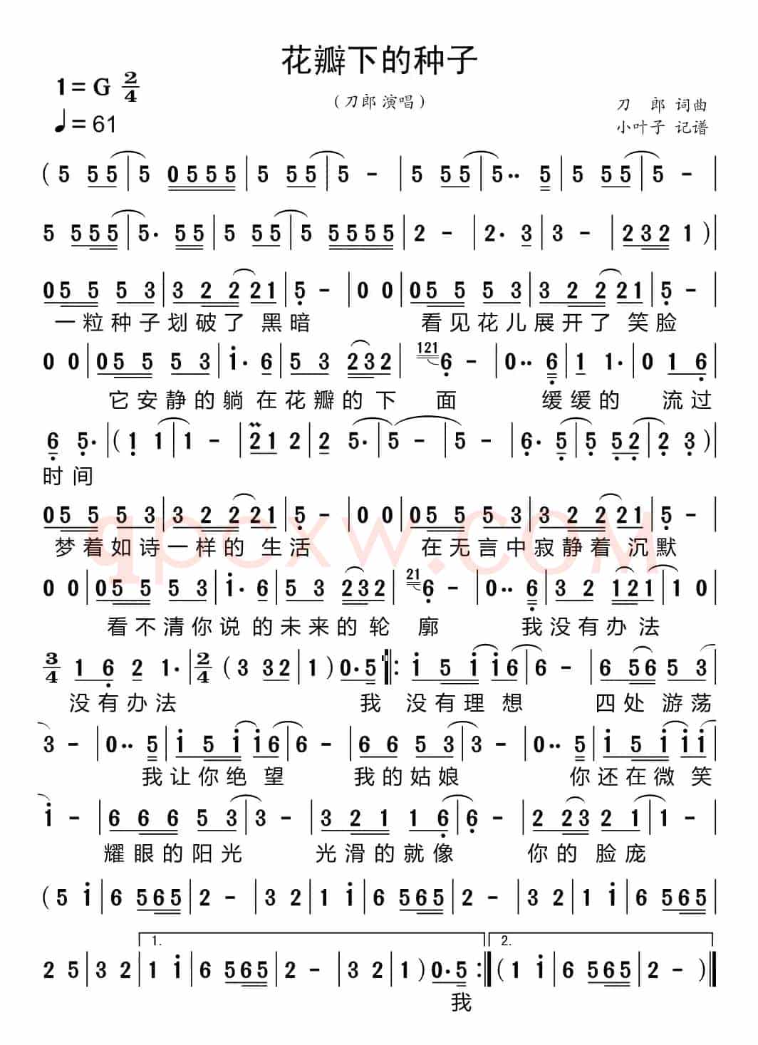 花瓣下的种子