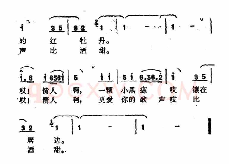 金花和紫罗兰