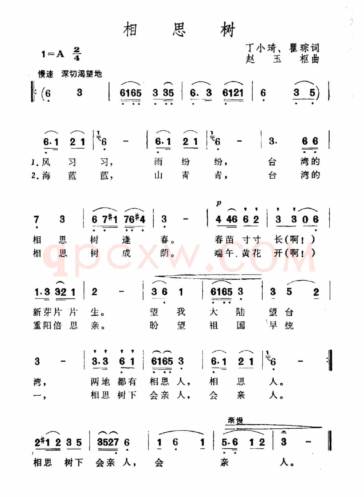 相思树