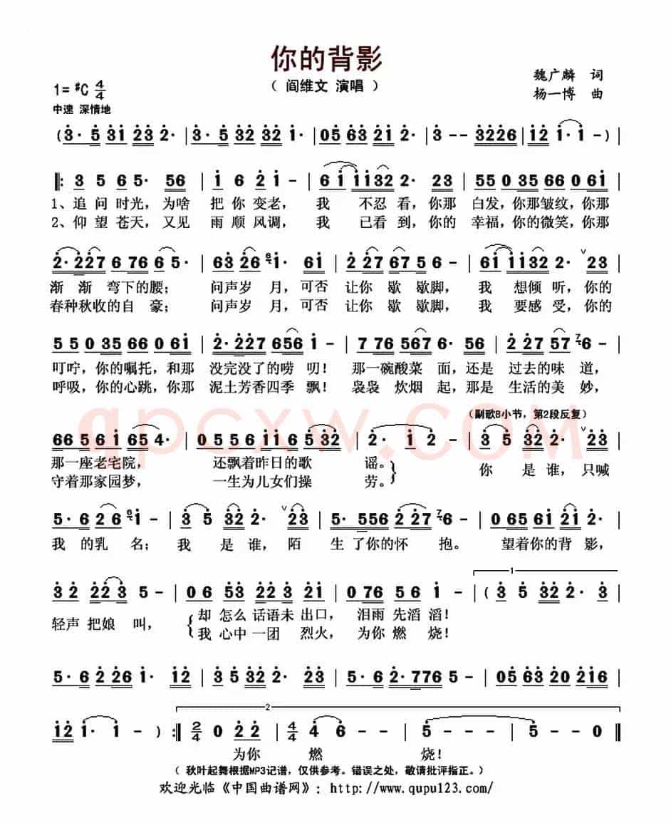 你的背影
