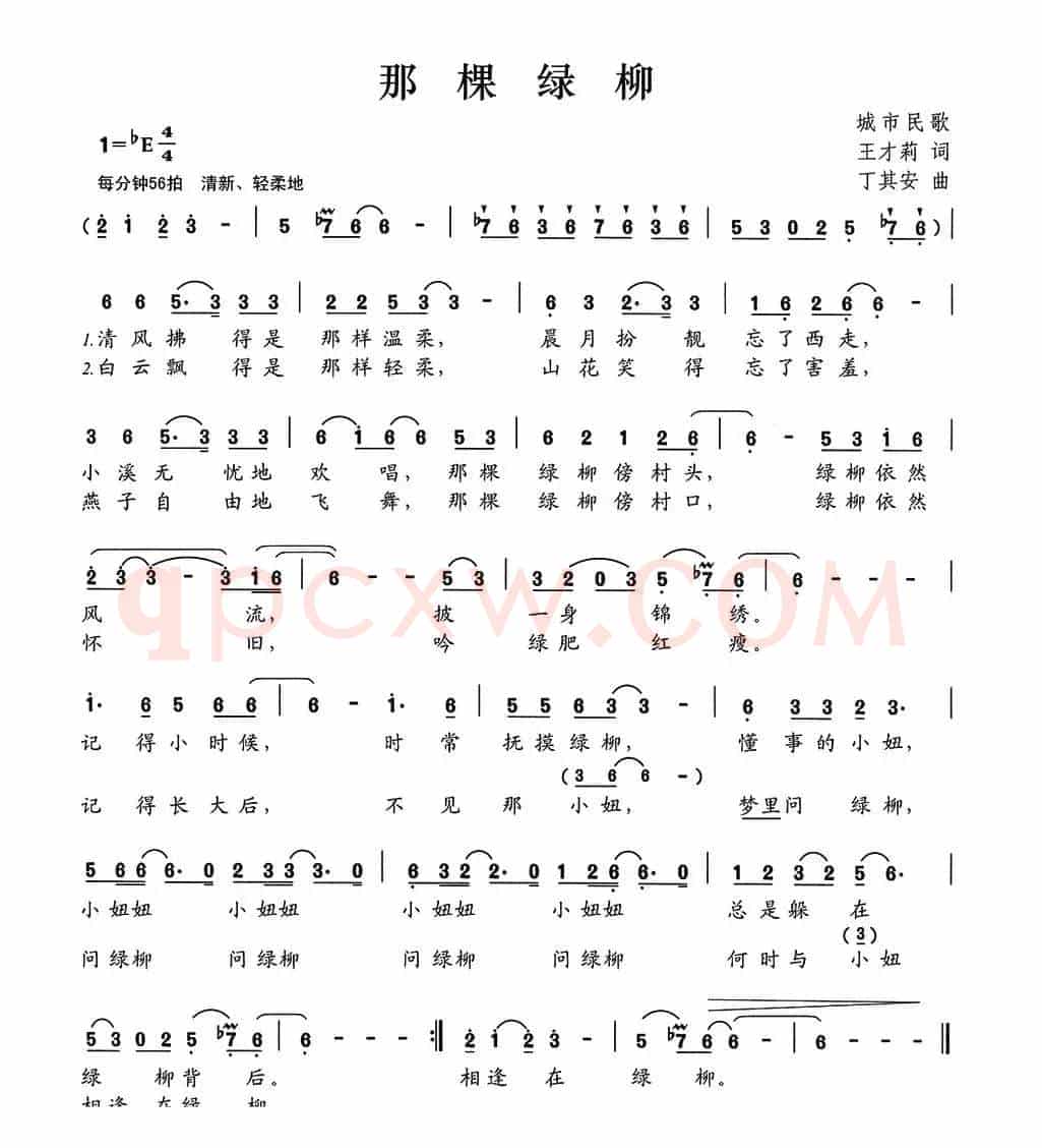 那棵柳树