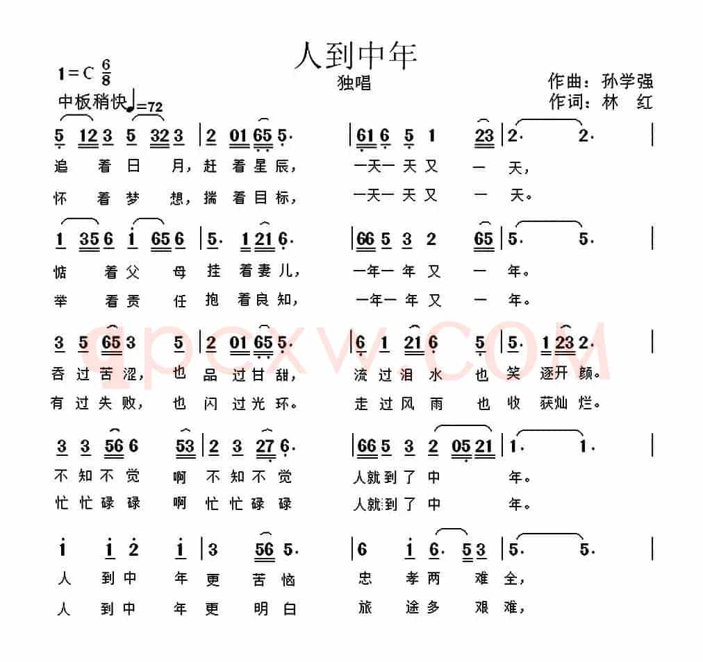人到中年(林红词 孙学强曲)