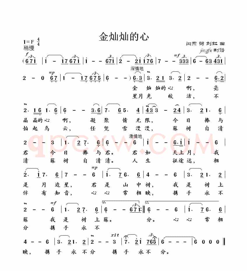 金灿灿的心
