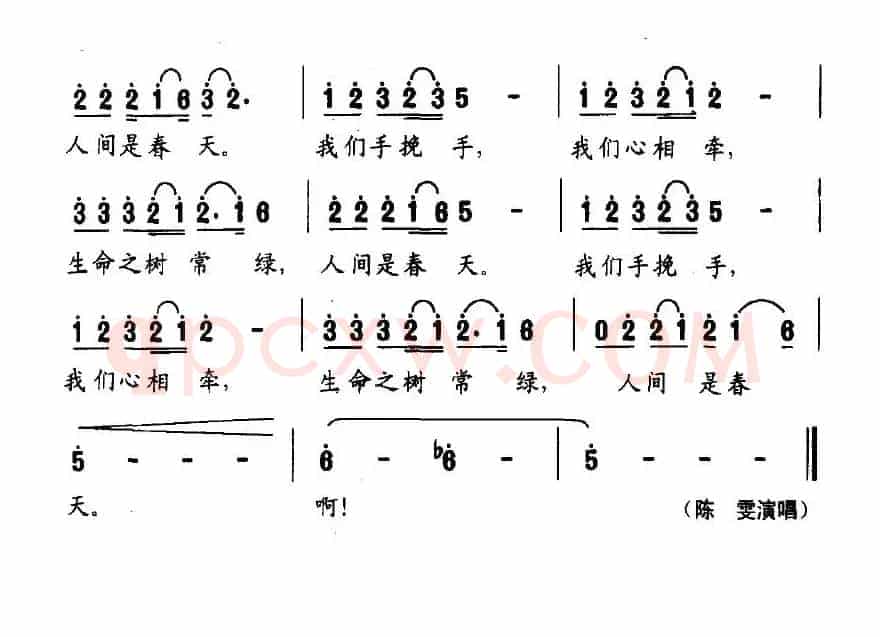 真情真爱