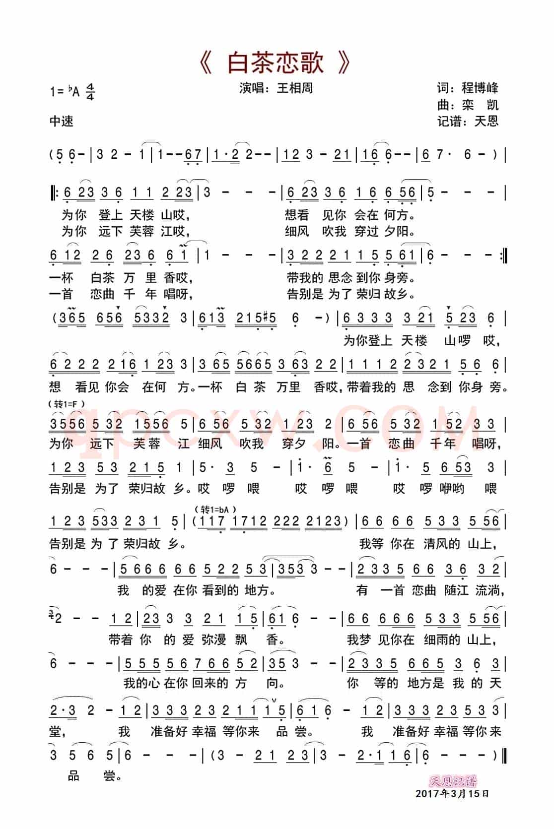 白茶恋歌