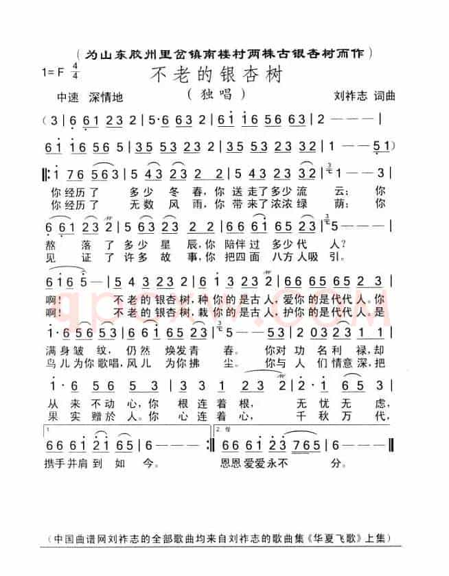 不老的银杏树（刘祚志词曲）