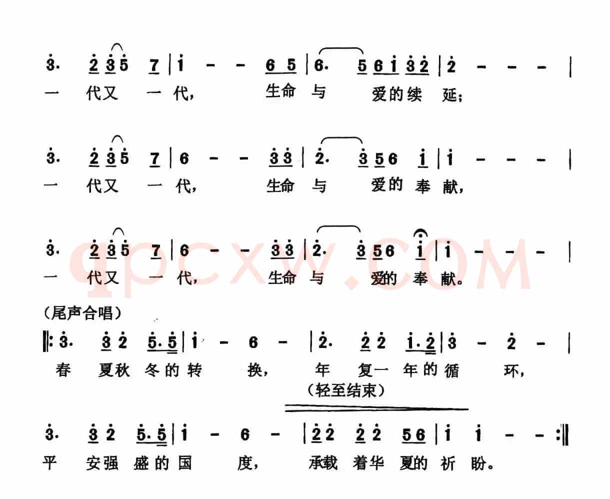 生命与爱的奉献