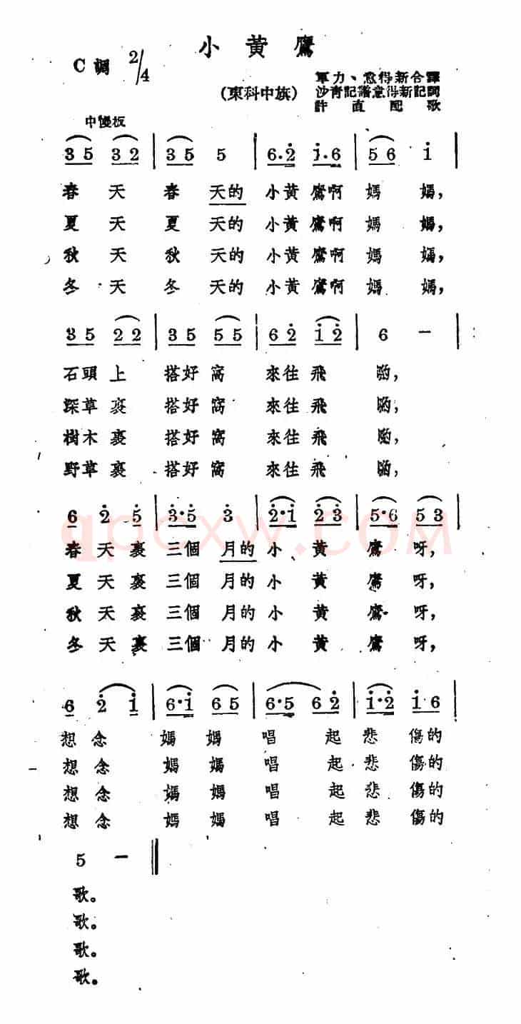 小黄鹰
