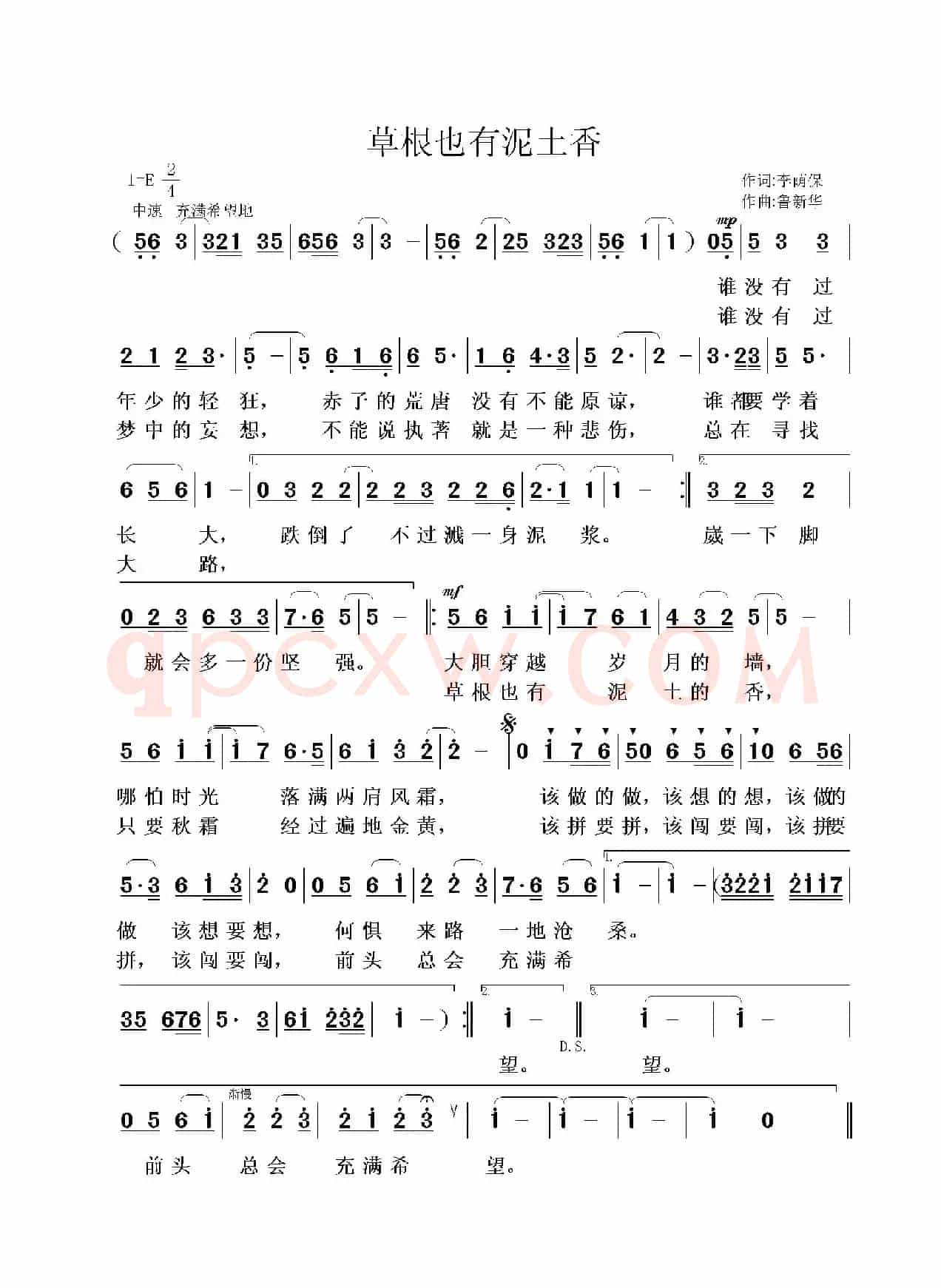 草根也有泥土香