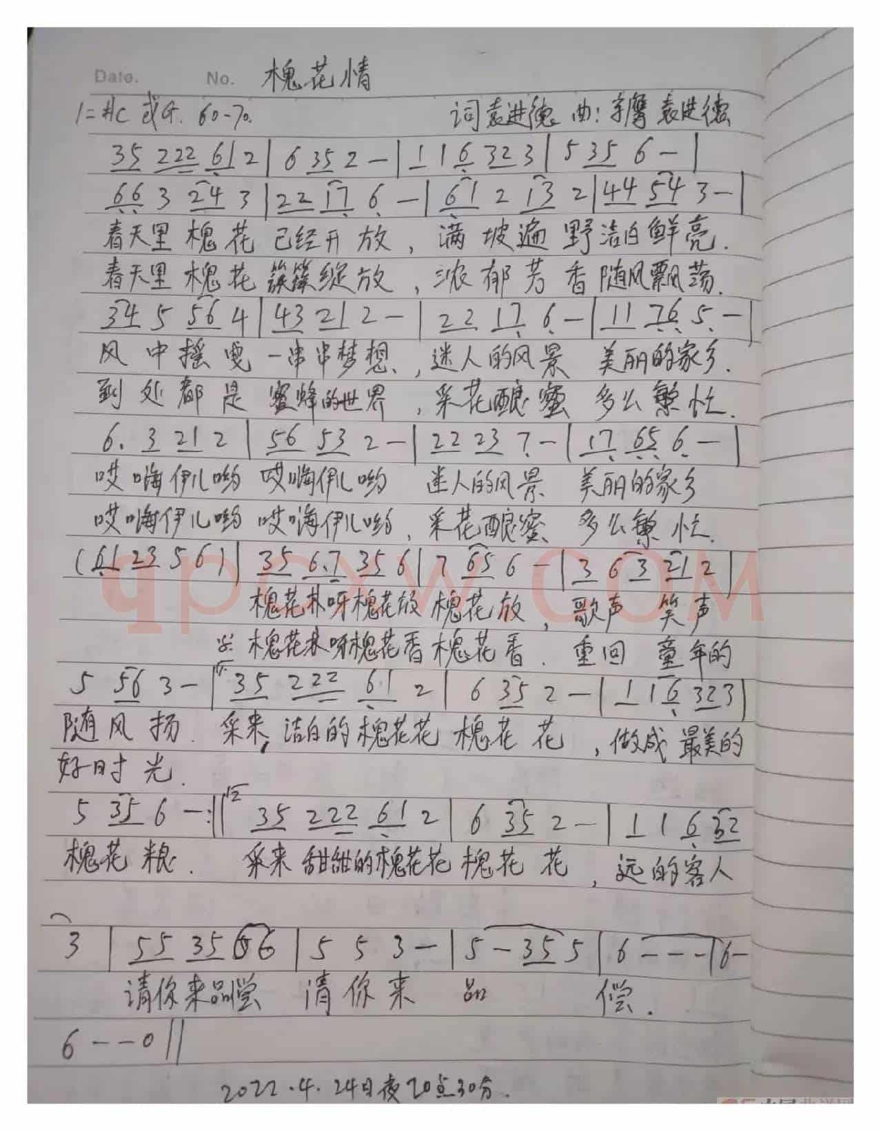 槐花情
