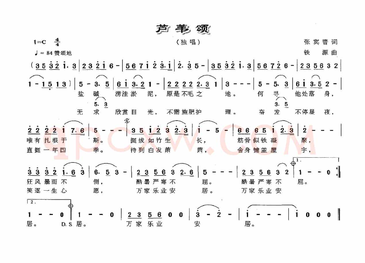 芦苇颂