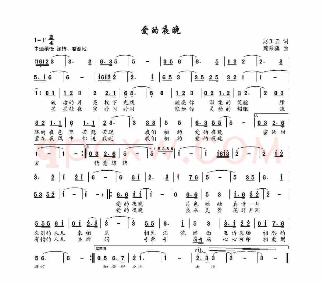 爱的夜晚 