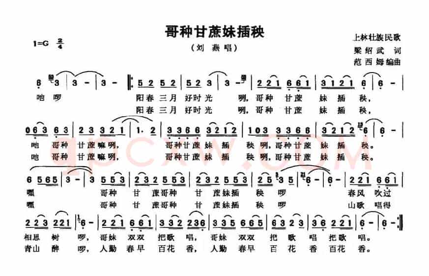 哥种甘蔗妹插秧