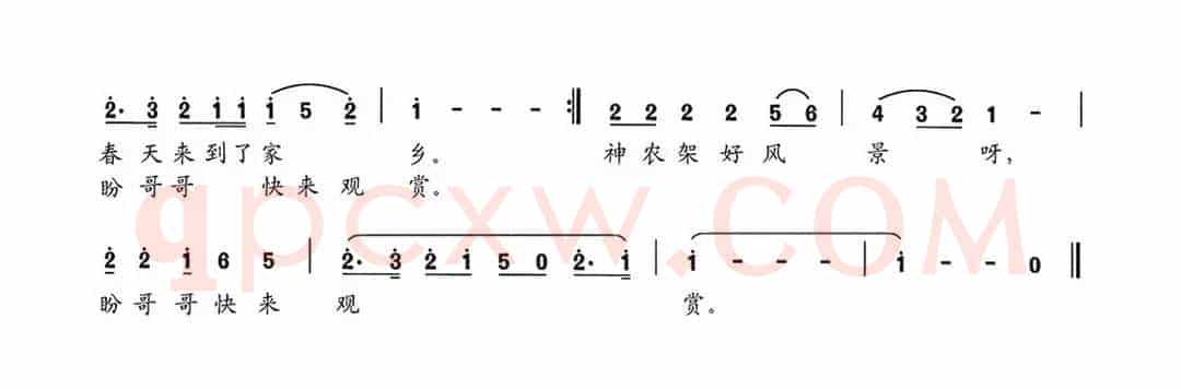 杜鹃花儿鲜
