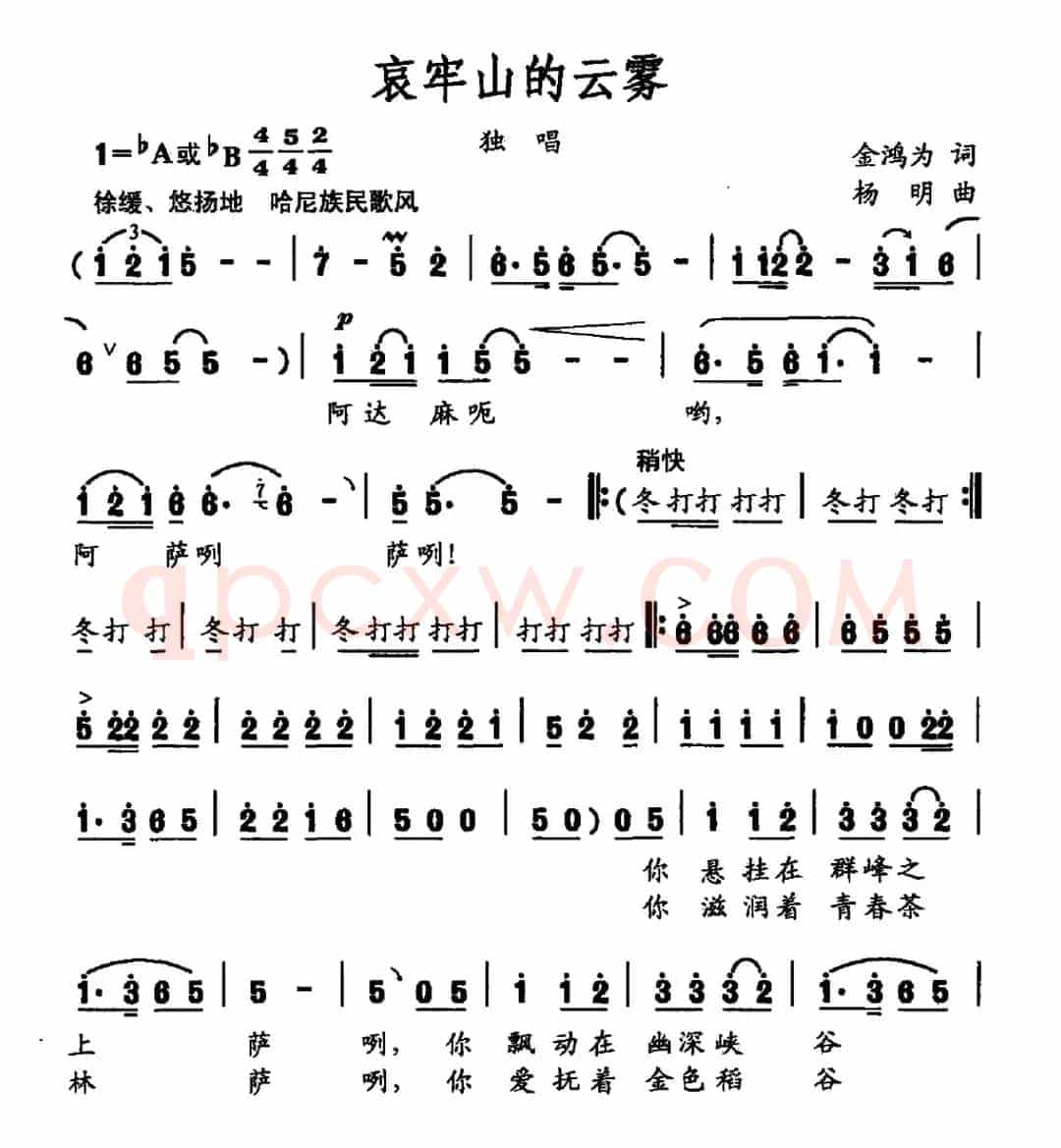 哀牢山的云雾