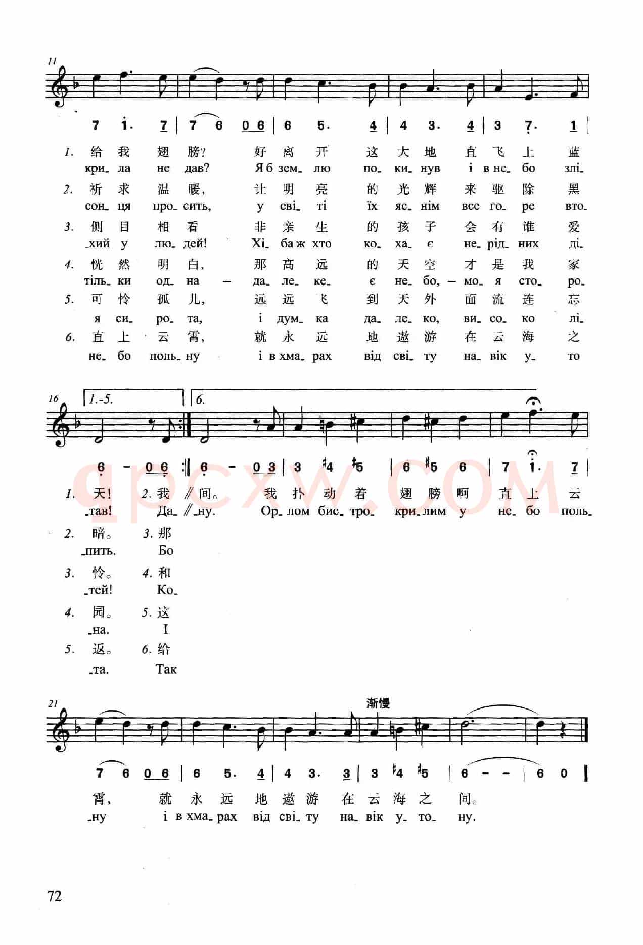 我仰望着天空