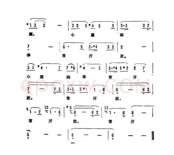 心愿四季常开放（电视剧《醉菊》主题曲）