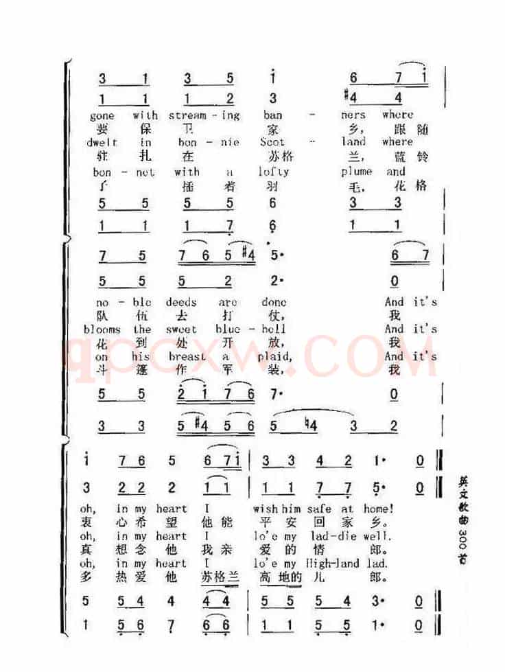 苏格兰的蓝铃花