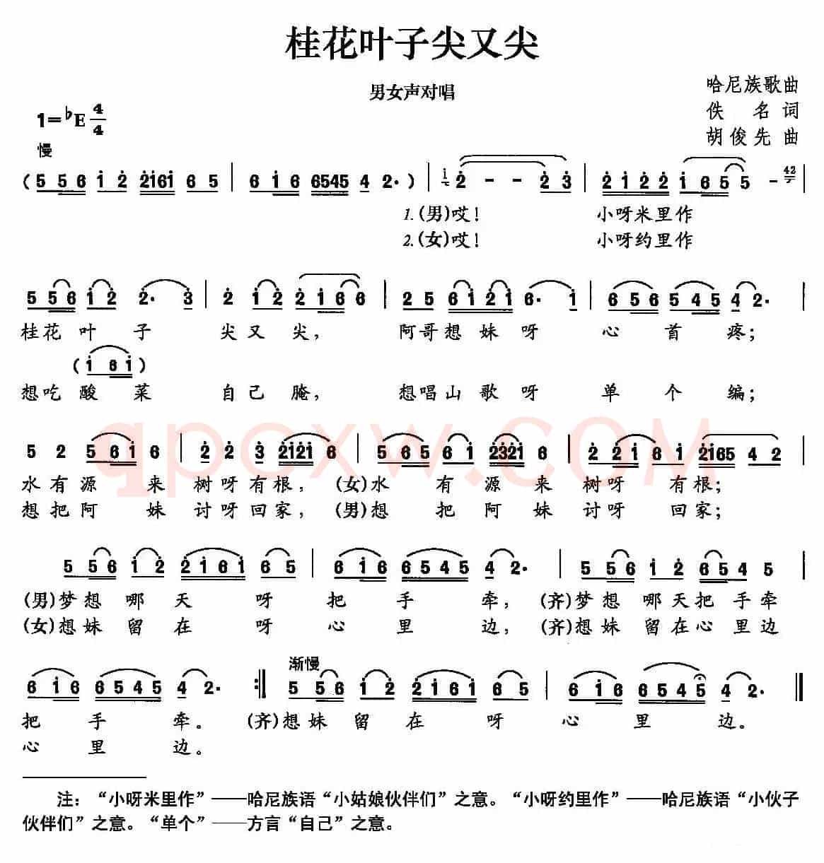 桂花叶子尖又尖