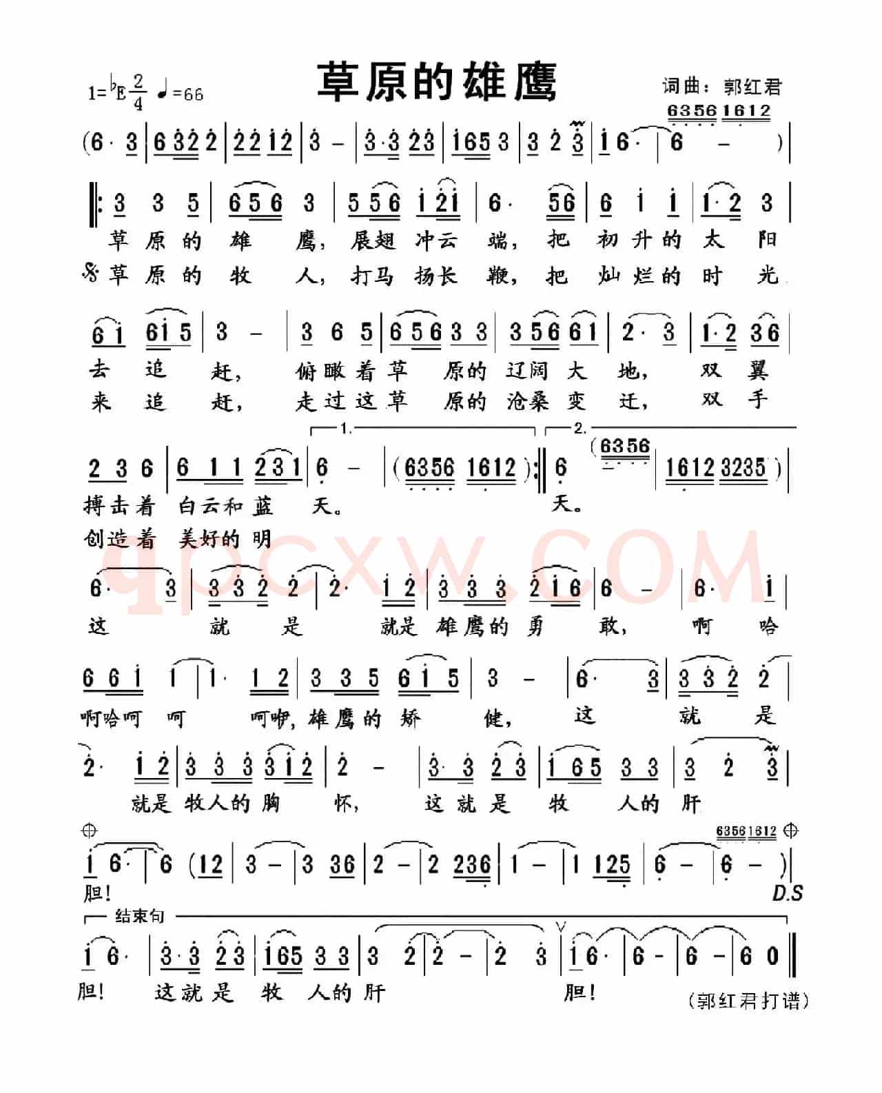 草原的雄鹰（郭红君词 郭红君曲）