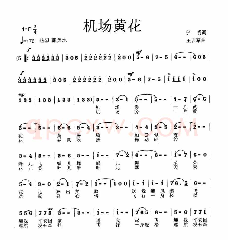 机场黄花