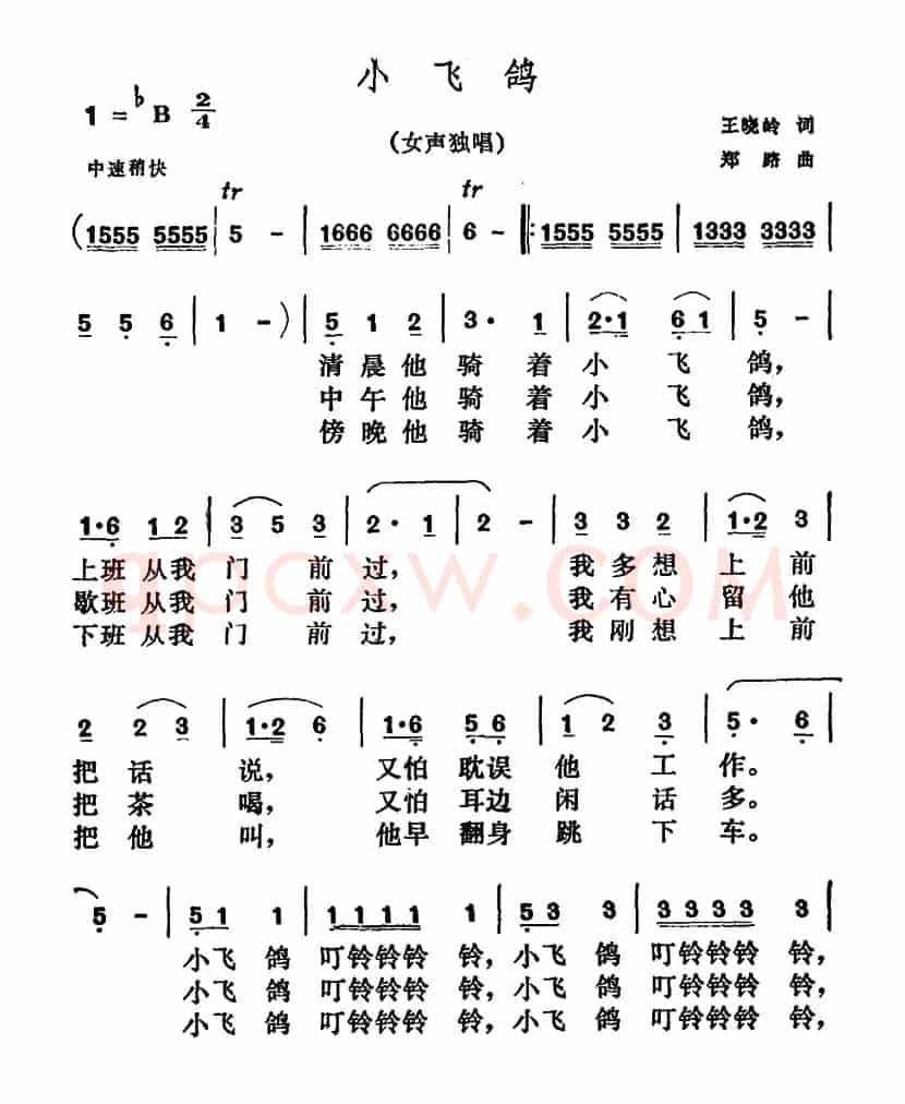小飞鸽