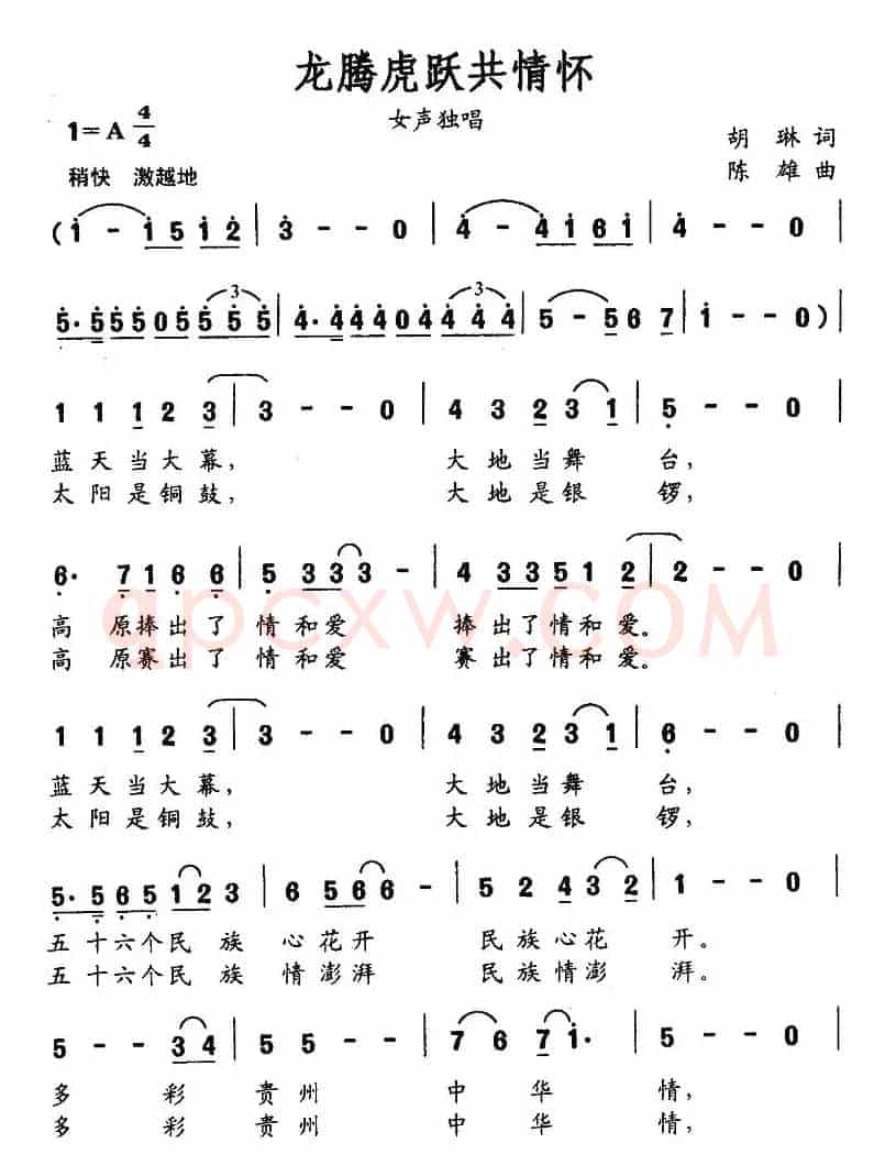 龙腾虎跃共情怀