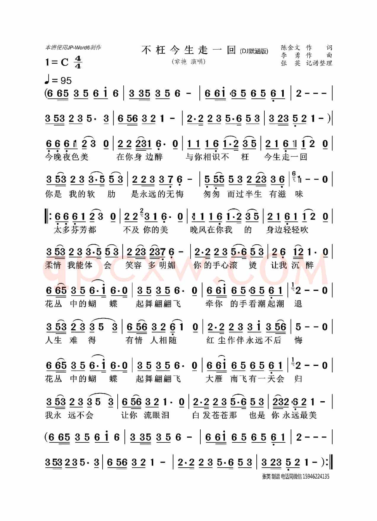 不枉今生走一回((DJ默涵版))