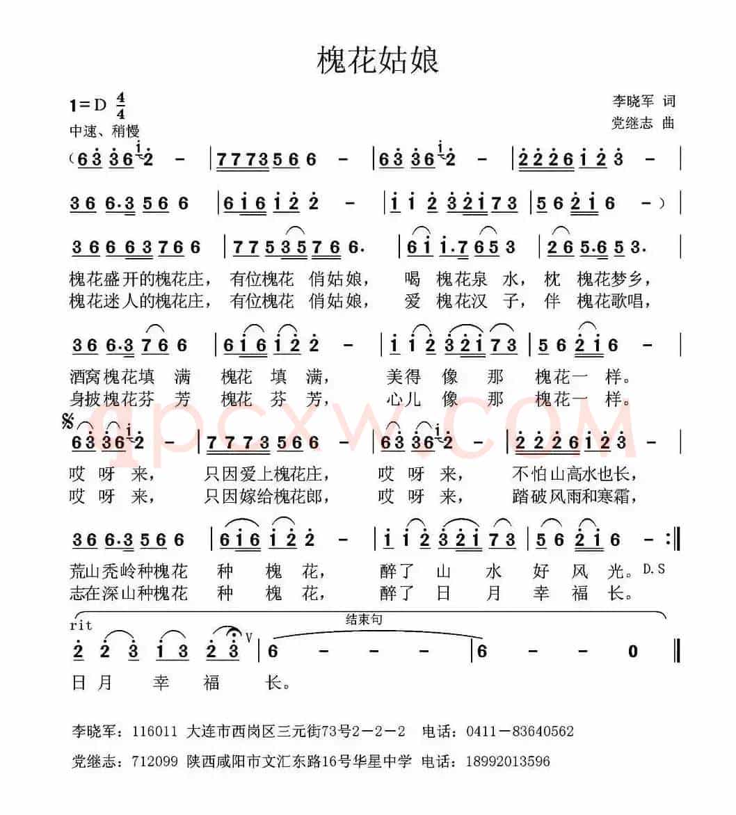 槐花姑娘