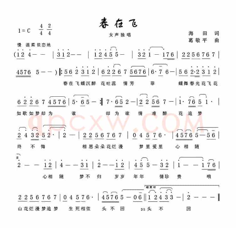 春在飞