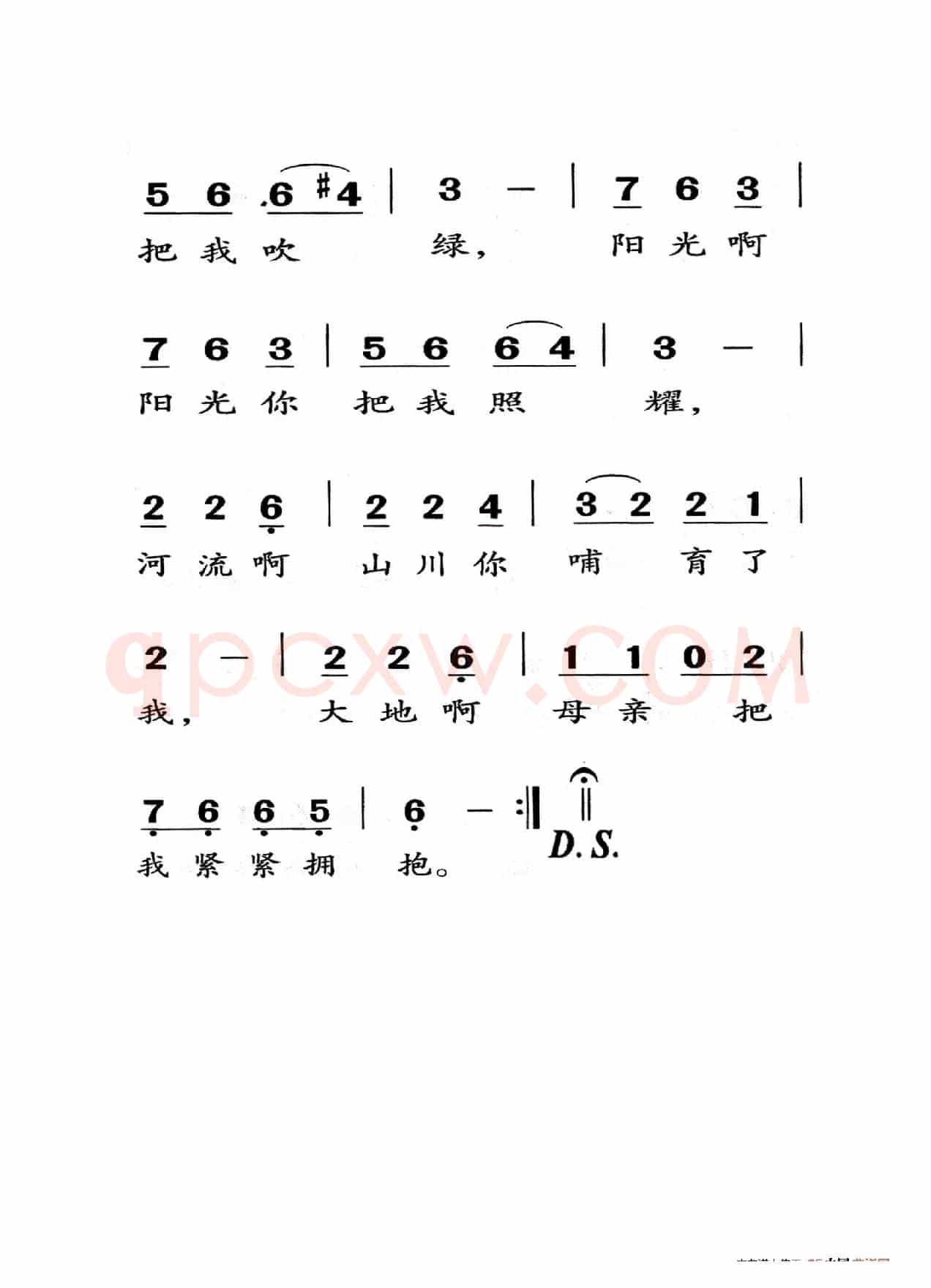 小草（老人适用）