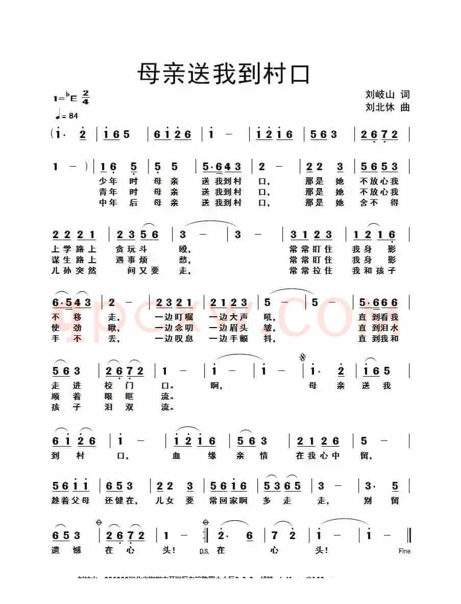 母亲送我到村口