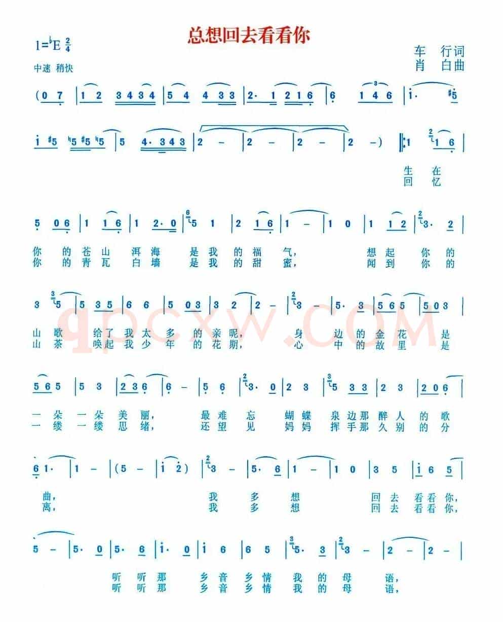 总想回去看看你