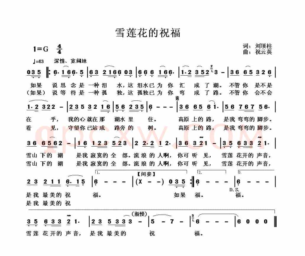 雪莲花的祝福