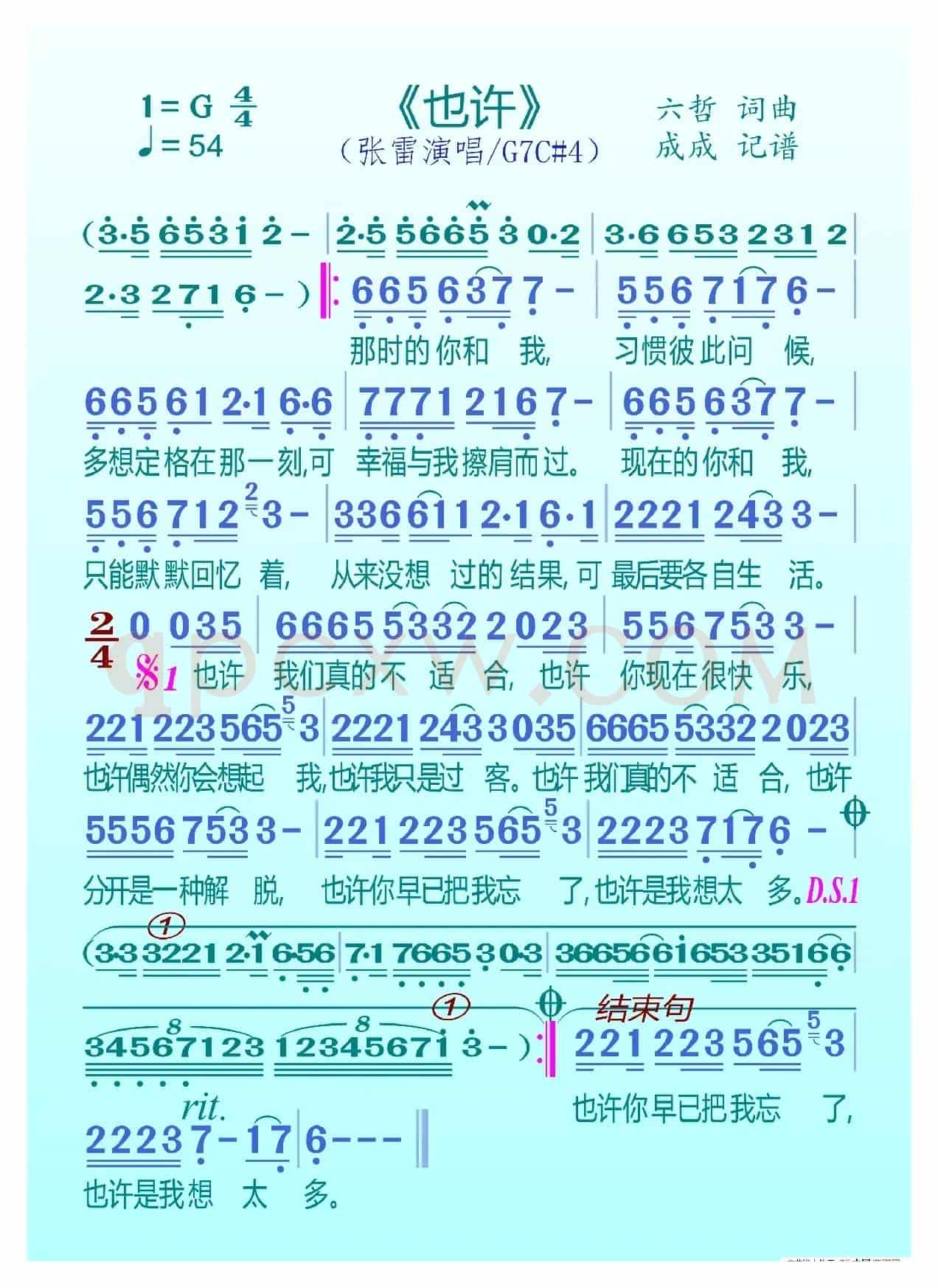 也许（张雷）