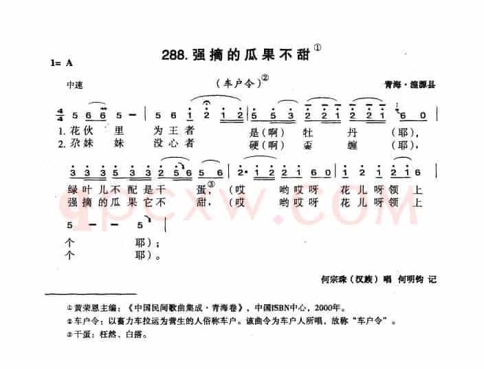 强摘的瓜果不甜