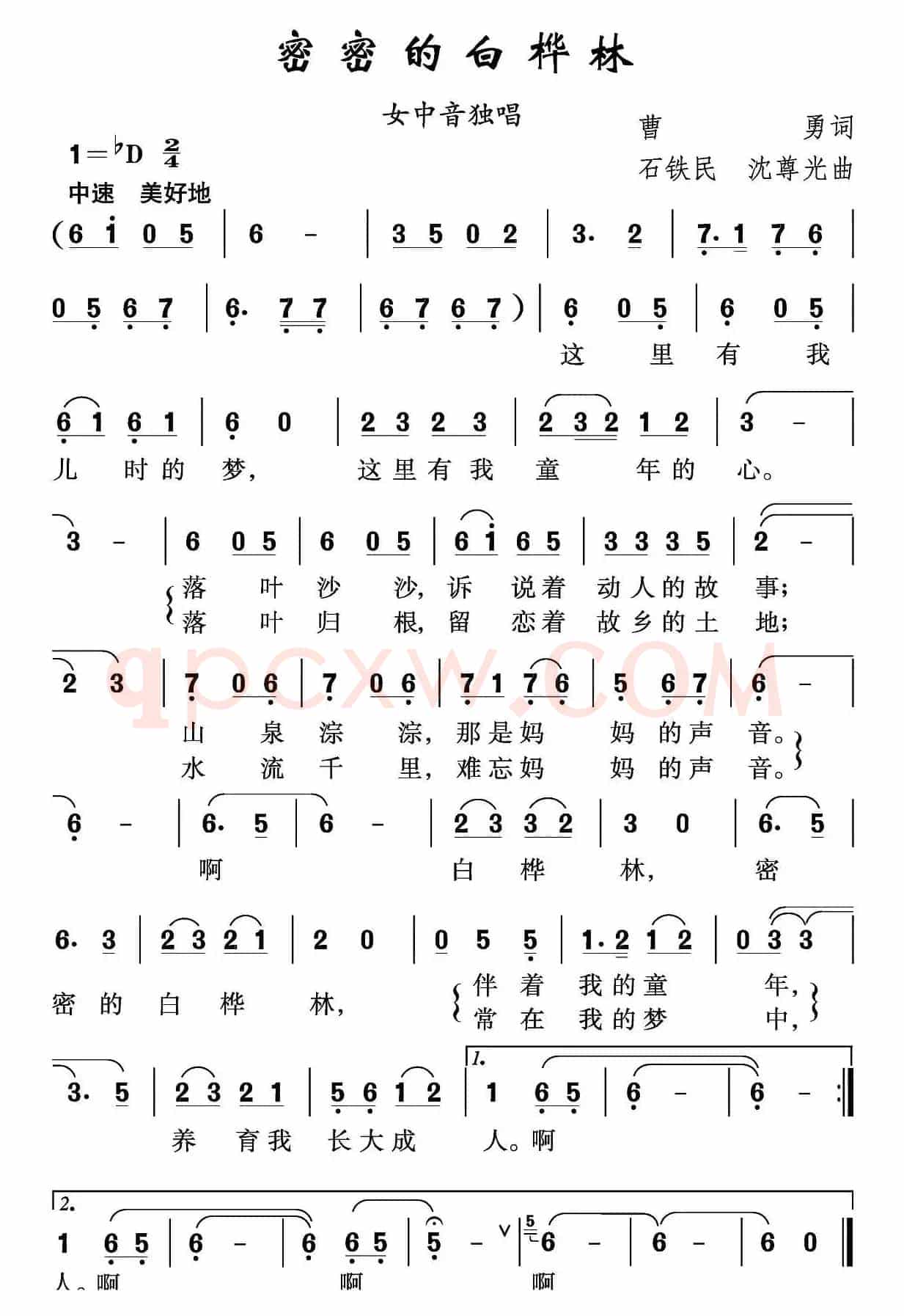 密密的白桦林