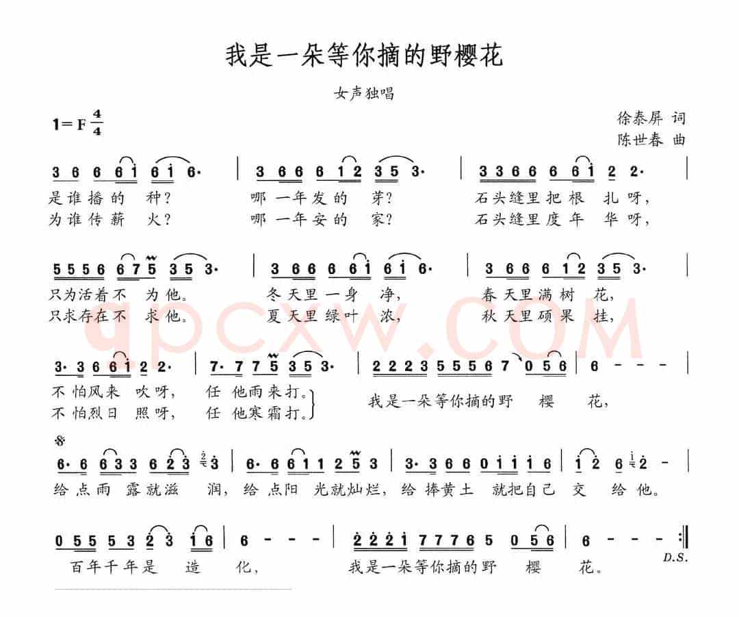 我是一朵等你摘的野樱花（女声独唱）