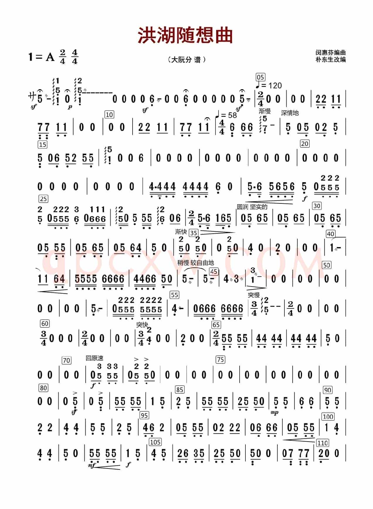 洪湖随想曲（大阮分谱）
